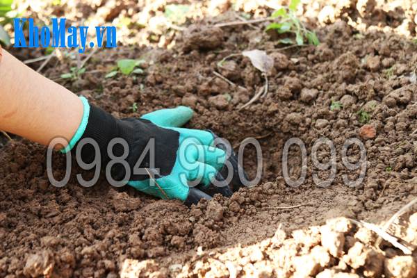 Dùng Găng tay làm vườn có móng 3A để đào đất