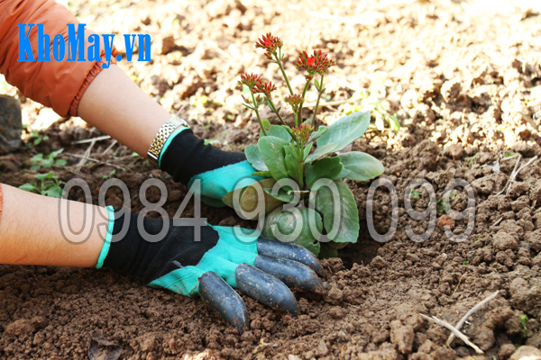 Găng tay làm vườn có móng 3A giúp bạn trồng cây dễ dàng