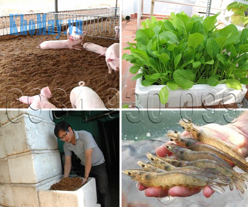 Những ứng dụng của xơ dừa và bột bã mía trong nông nghiệp, chăn nuôi và thủy sản