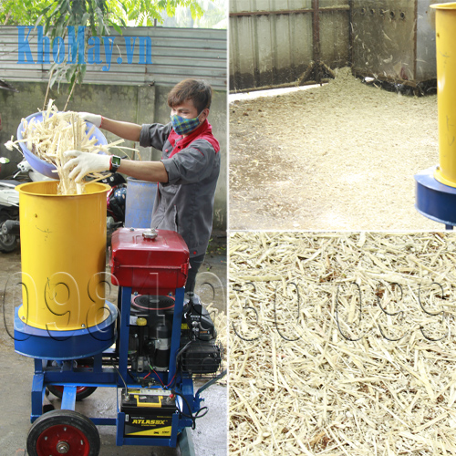 Kỹ thuật trồng nấm linh chi bằng bã mía