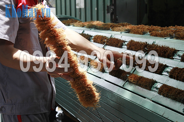 Chổi xơ dừa của Máy rửa nông sản 3A XD500
