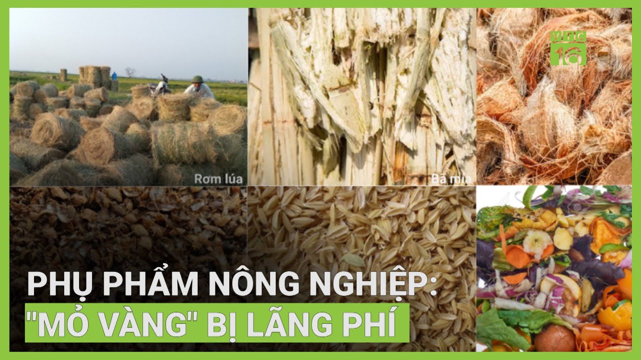 biến phụ phẩm nông nghiệp thành tiền