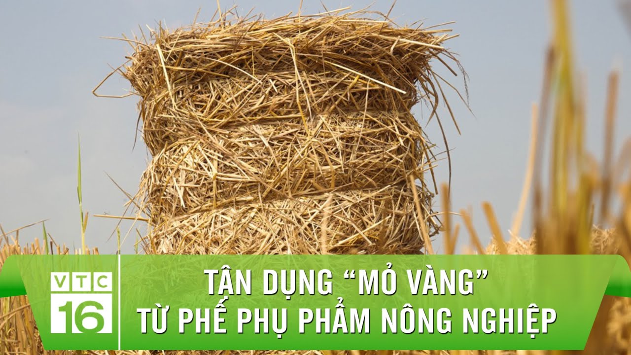 Phujphaamr nông nghiệp