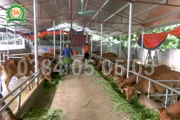 Máy băm cỏ