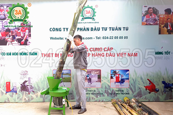 Máy thái chuối cây