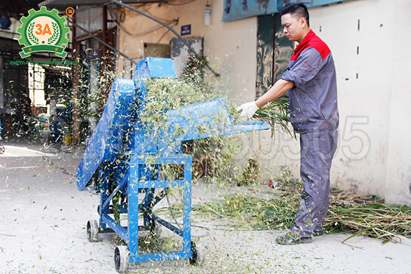 máy xay cỏ cho bò