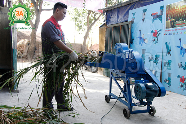máy xay cỏ cho bò