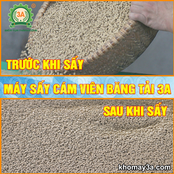 Máy sấy cám viên