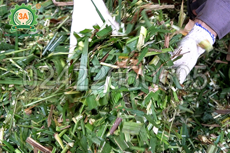 Máy Băm Cỏ Cho Dê Ninh Bình