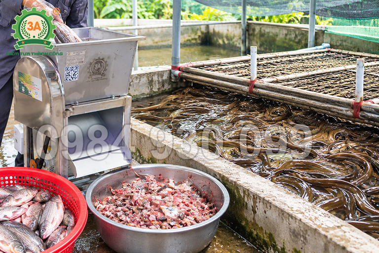 thức ăn nuôi lươn