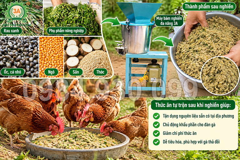Tự Trộn Cám Gà Thả